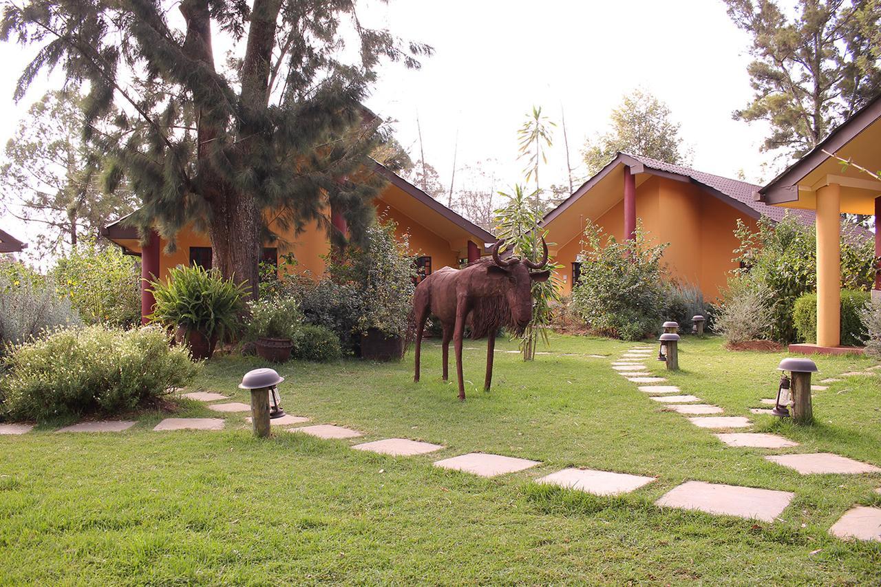 Le Rustique Otel Nanyuki Oda fotoğraf